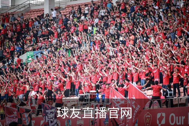 球友直播官网公司简介展示图